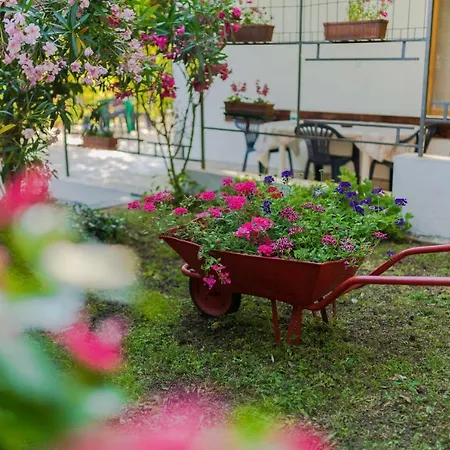 Apartment Maestral Near The Malinska